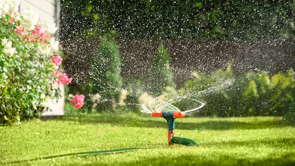 Professional plumber in Miami