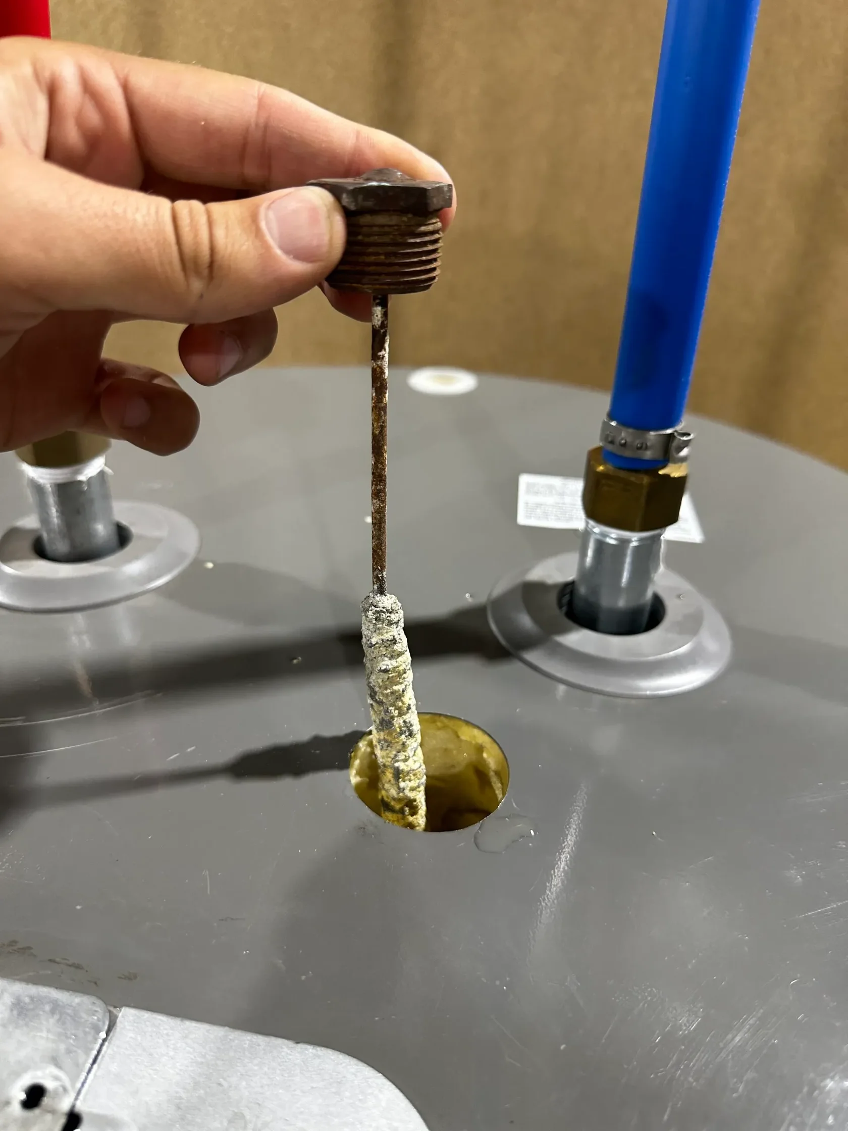 Checking the anode rod